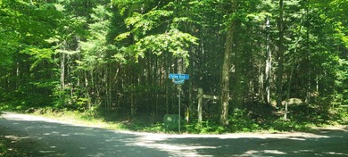 1.55 nicely wooded Acres in Natural Lakes Preserve ready for - photo 19