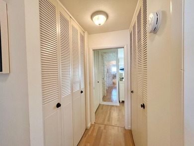 Elegantly decorated 2 bedroom 2 bath Villa located in the 55+ - photo 20