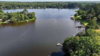 Wonderful rustic waterfront home on lake Lydia nestled along the - photo 30