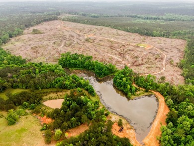 (private lake, pond, creek) Acreage For Sale in Madison Mississippi