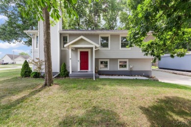 Lake Home For Sale in Onsted, Michigan