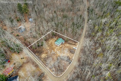 Lake Home For Sale in Albion, Maine