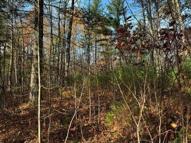 This newly surveyed and inexpensive .69-acre parcel is located - photo 11