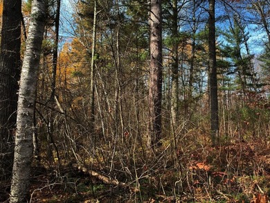 This newly surveyed and inexpensive .69-acre parcel is located - photo 12