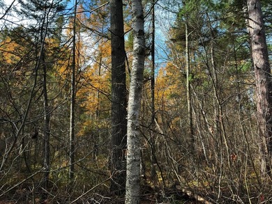 This newly surveyed and inexpensive .69-acre parcel is located - photo 13