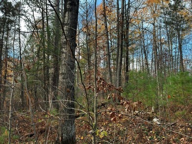 This newly surveyed and inexpensive .69-acre parcel is located - photo 17