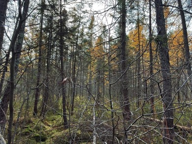 This newly surveyed and inexpensive .69-acre parcel is located - photo 19