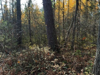 This newly surveyed and inexpensive .69-acre parcel is located - photo 20