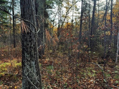 This newly surveyed and inexpensive .69-acre parcel is located - photo 23