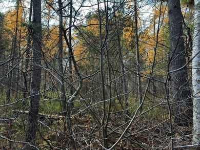 This newly surveyed and inexpensive .69-acre parcel is located - photo 24