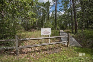 BEAUTIFUL Gulf Shores Craftsman home nestled inside Martyn Woods - photo 48