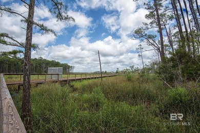 BEAUTIFUL Gulf Shores Craftsman home nestled inside Martyn Woods - photo 49
