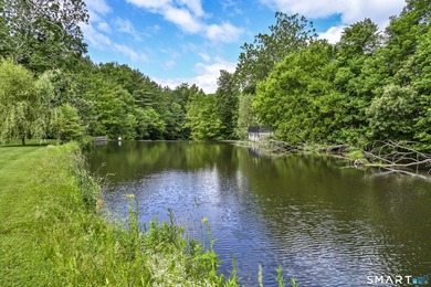 Blackberry River Oasis! With 1,100 feet of frontage on the - photo 4