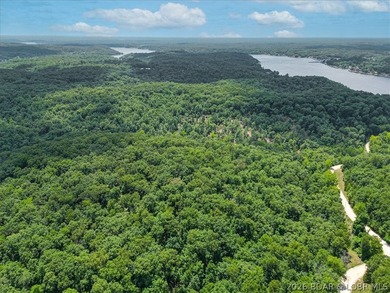 Experience the perfect blend of nature and opportunity with this - photo 17