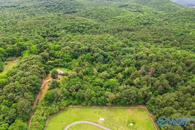 Tucked away on 7 beautiful wooded acres, this private retreat - photo 21
