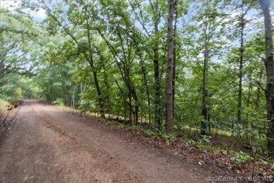 Experience the perfect blend of nature and opportunity with this - photo 22