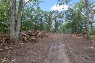 Experience the perfect blend of nature and opportunity with this - photo 25