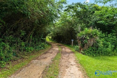 Tucked away on 7 beautiful wooded acres, this private retreat - photo 25