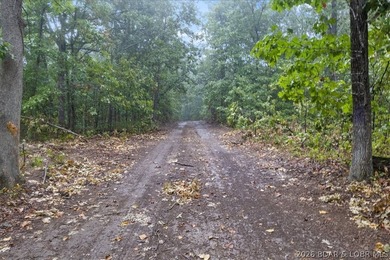 Experience the perfect blend of nature and opportunity with this - photo 26