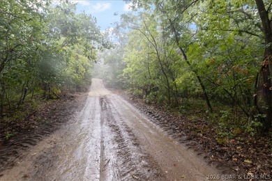Experience the perfect blend of nature and opportunity with this - photo 27