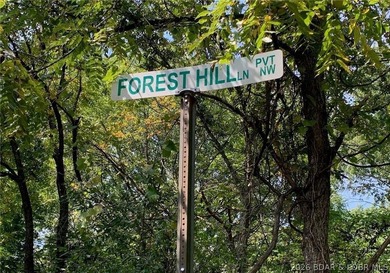 17 wooded acres with a clearing at the top of the property to - photo 2