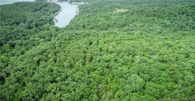 17 wooded acres with a clearing at the top of the property to - photo 3