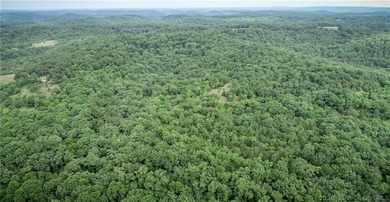 17 wooded acres with a clearing at the top of the property to - photo 6