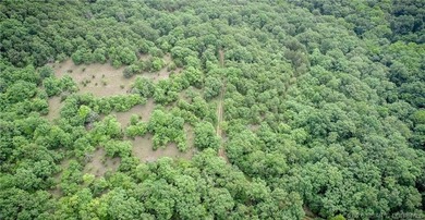 17 wooded acres with a clearing at the top of the property to - photo 7