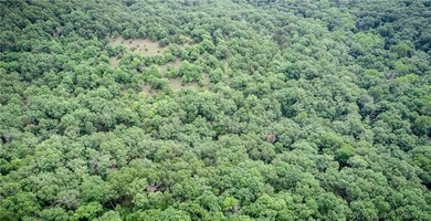 17 wooded acres with a clearing at the top of the property to - photo 8
