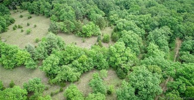 17 wooded acres with a clearing at the top of the property to - photo 10