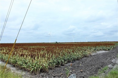 With the industrial expansion in South Texas, yesterday's farm - photo 3
