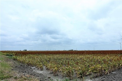 With the industrial expansion in South Texas, yesterday's farm - photo 5