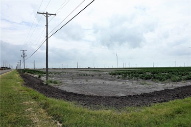 With the industrial expansion in South Texas, yesterday's farm - photo 8