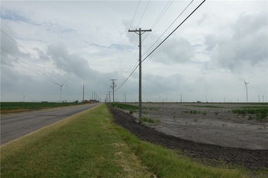 With the industrial expansion in South Texas, yesterday's farm - photo 9