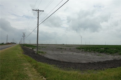 With the industrial expansion in South Texas, yesterday's farm - photo 10