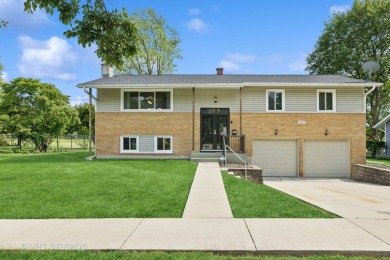 Lake Home Sale Pending in Palatine, Illinois