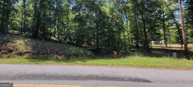 Lake Lot For Sale in Sparta, Georgia