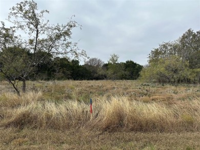 Lake Lot For Sale in Whitney, Texas