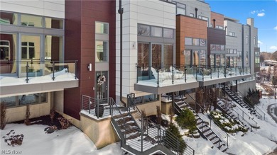 Lake Erie - Cuyahoga County Townhome/Townhouse Active Under Contract in Lakewood Ohio