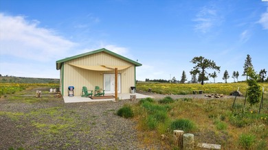 (private lake, pond, coastal) Home For Sale in Pomeroy Washington