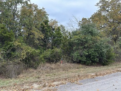 This is a a .24 of an acre lot within the beautiful White Bluff - photo 2
