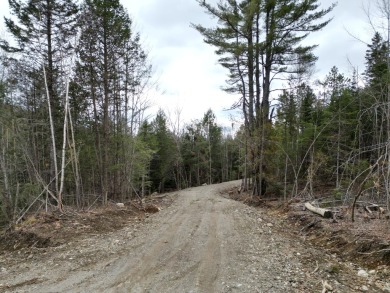 Green Pond Acreage For Sale in Lee Maine