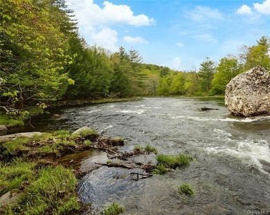 Neversink River Acreage For Sale in Fallsburg New York
