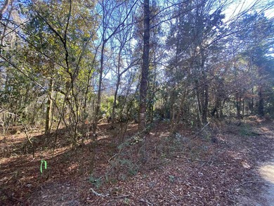 4.36 Acre Wooded Residential lot. Zoned Residential Single - photo 3