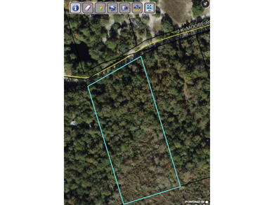4.36 Acre Wooded Residential lot. Zoned Residential Single - photo 7