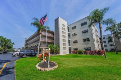 Lake Condo For Sale in St. Petersburg, Florida