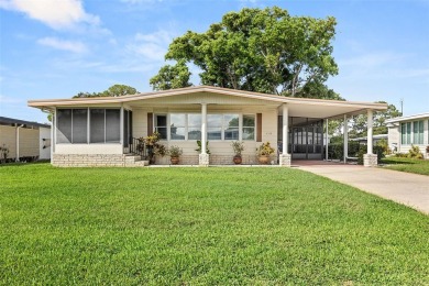 Lake Home Sale Pending in Tavares, Florida