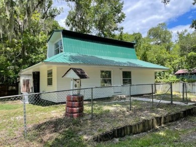 Lake Panasoffkee Home For Sale in Lake Panasoffkee Florida