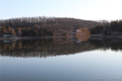 Gemini said PRISTINE LAKEFRONT LOT ON PRIVATE POCAHONTAS LAKE! - photo 2