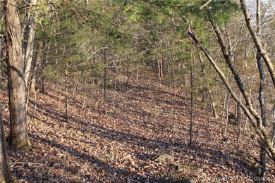 Gemini said PRISTINE LAKEFRONT LOT ON PRIVATE POCAHONTAS LAKE! - photo 5